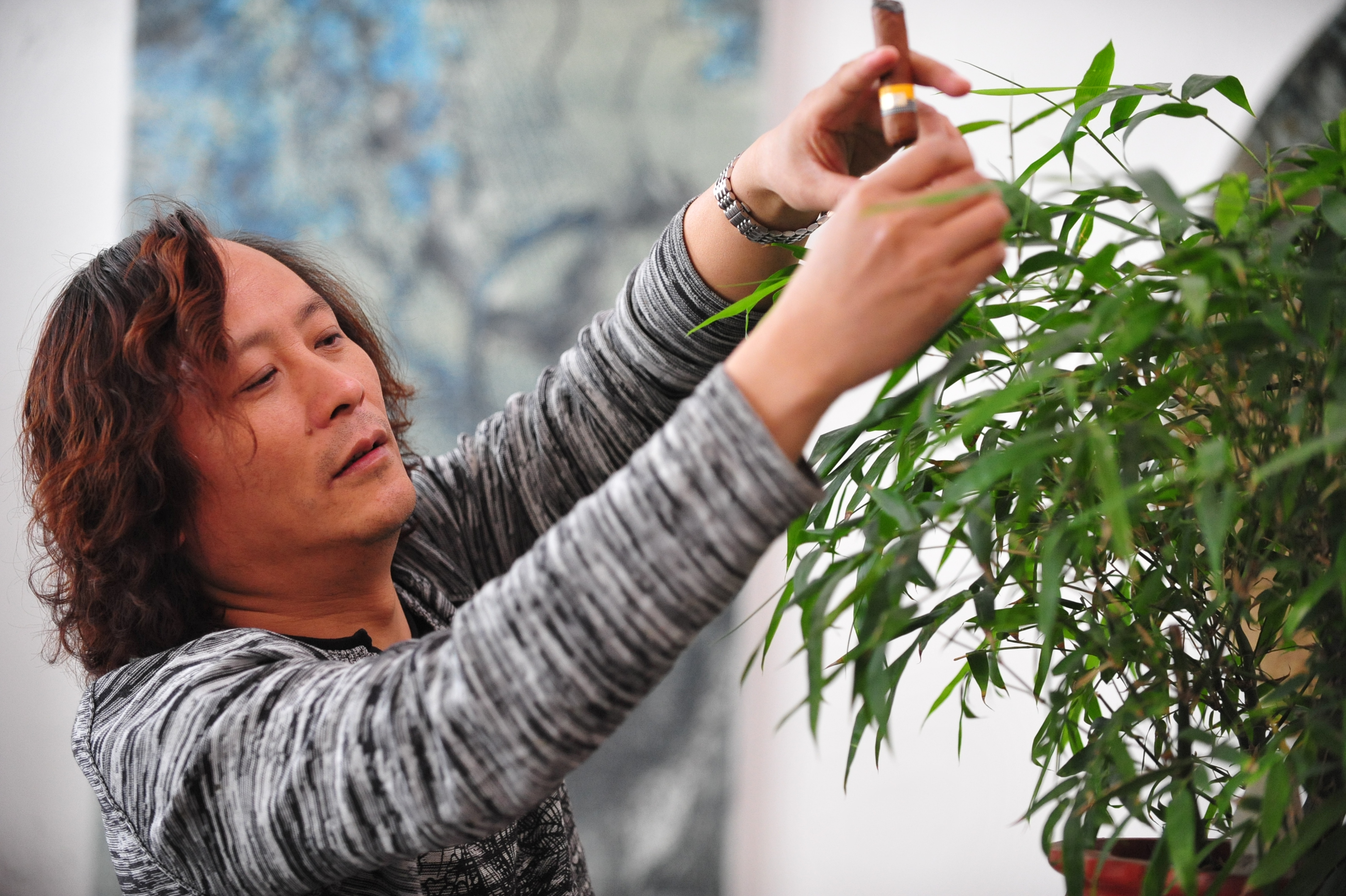 李奇安 作品展示背景